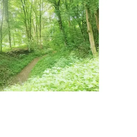 Vintage-zimmer Burgblick Felsberg