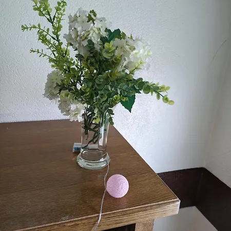Pensjonat Vintage-zimmer Burgblick